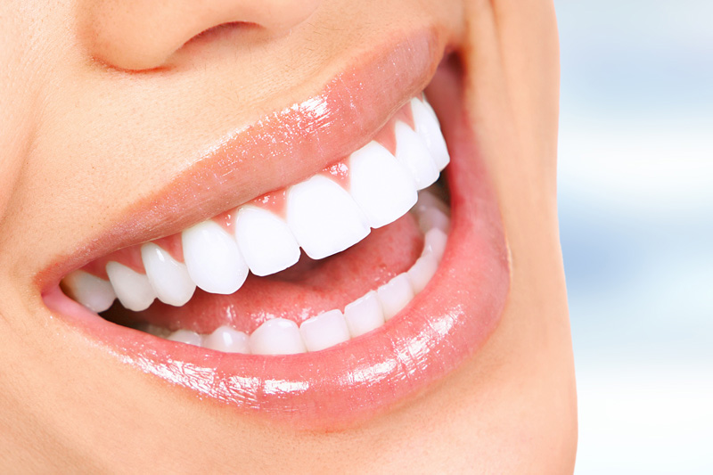Grant Dental Plaza Special Offer